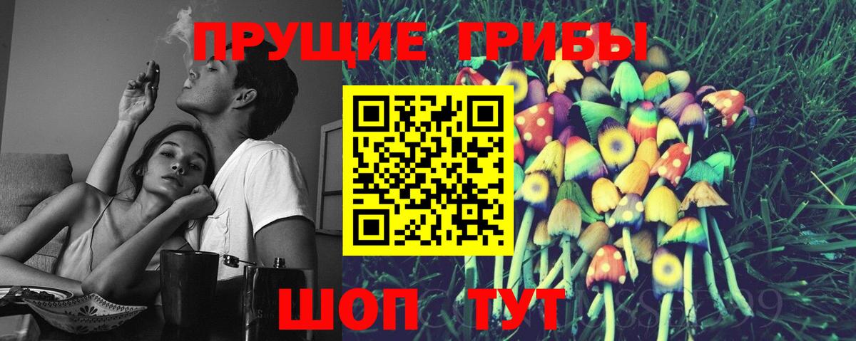 Галлюциногенные грибы GOLDEN TEACHER  Псилоцибиновые грибы мухоморы  Сосновоборск  Вход с VPN 