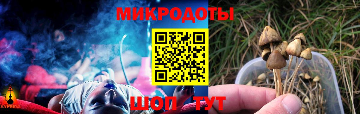 Псилоцибиновые грибы GOLDEN TEACHER  Сосновоборск 